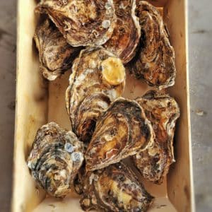 Prendas de Arrubia: Ostriche Crassostrea Gigas Premium dell'Oasi di S'Ena Arrubia