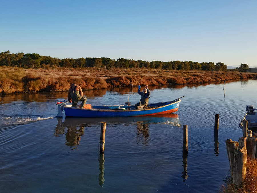 sena-arrubia-pescata-laguna